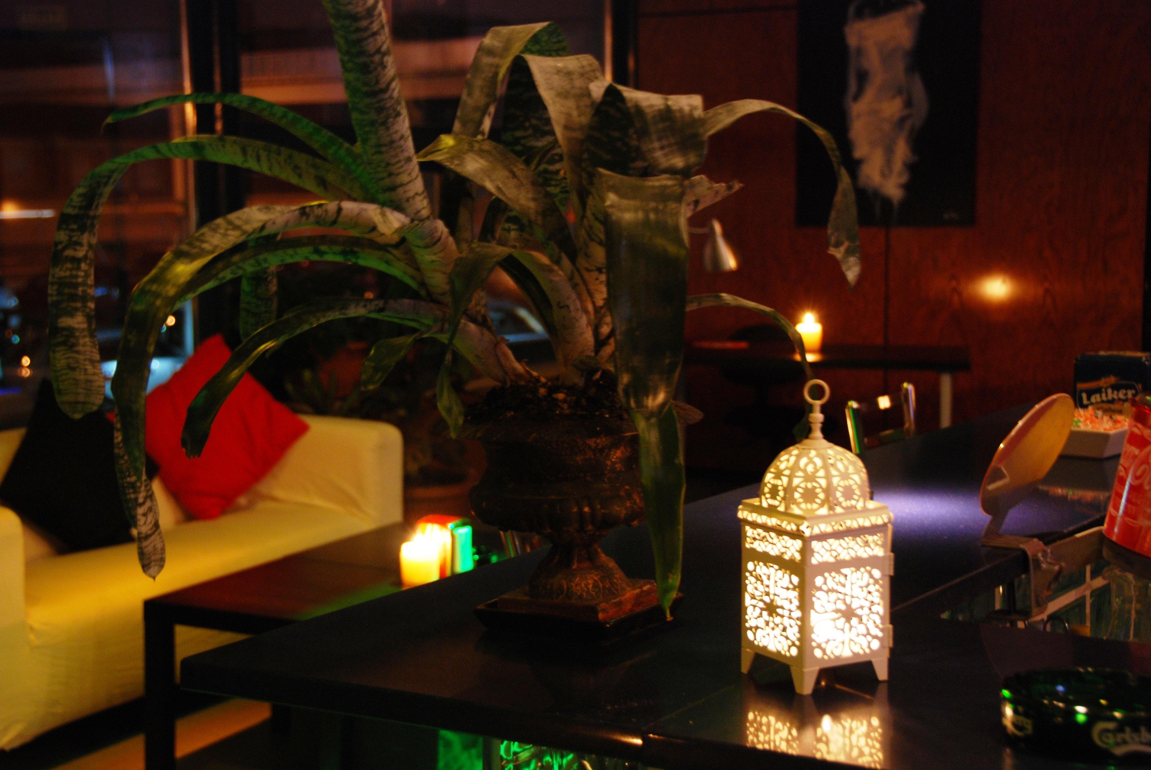 Ap Hotel Madrid Airport Ngoại thất bức ảnh